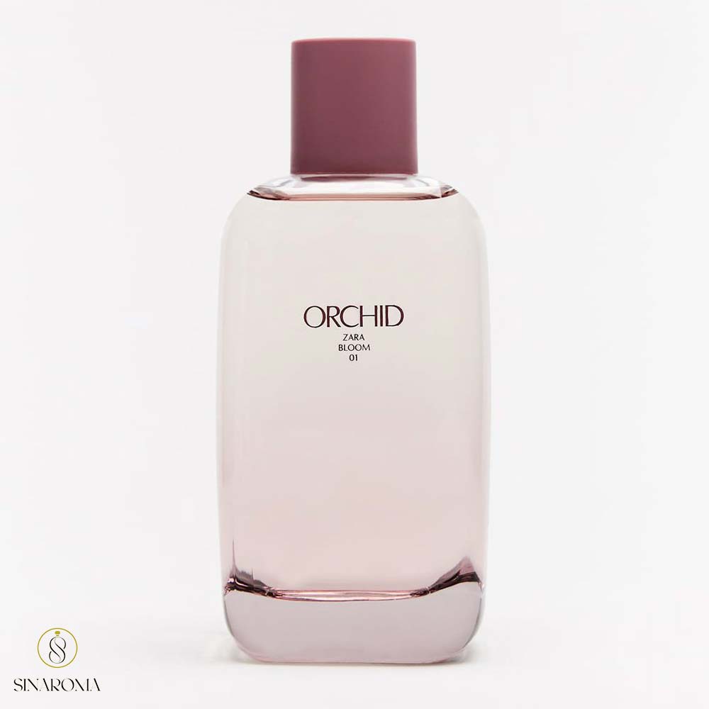 زارا ارکید Zara Orchid