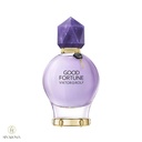 ویکتور اند رولف گود فورچن Viktor & Rolf Good Fortune