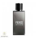 ابرکرومبی اینتنس Abercrombie & Fitch Fierce Intense